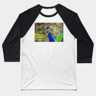 Peacock Showing Off Baseball T-Shirt